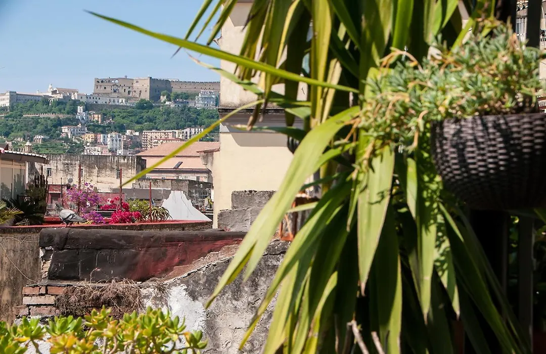 La Terrazza ai Miracoli-1