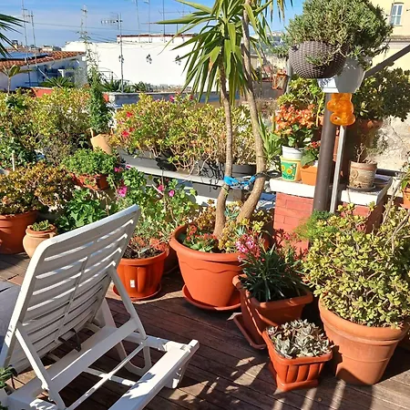 La Terrazza ai Miracoli-3